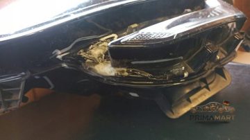 Foto 5 von Frontscheinwerfer Renault LED 260601093R Links